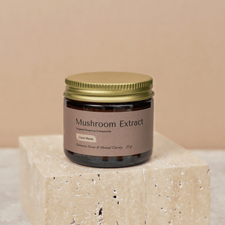 Organic Lion's Mane Mushroom Extract - Within Wellness